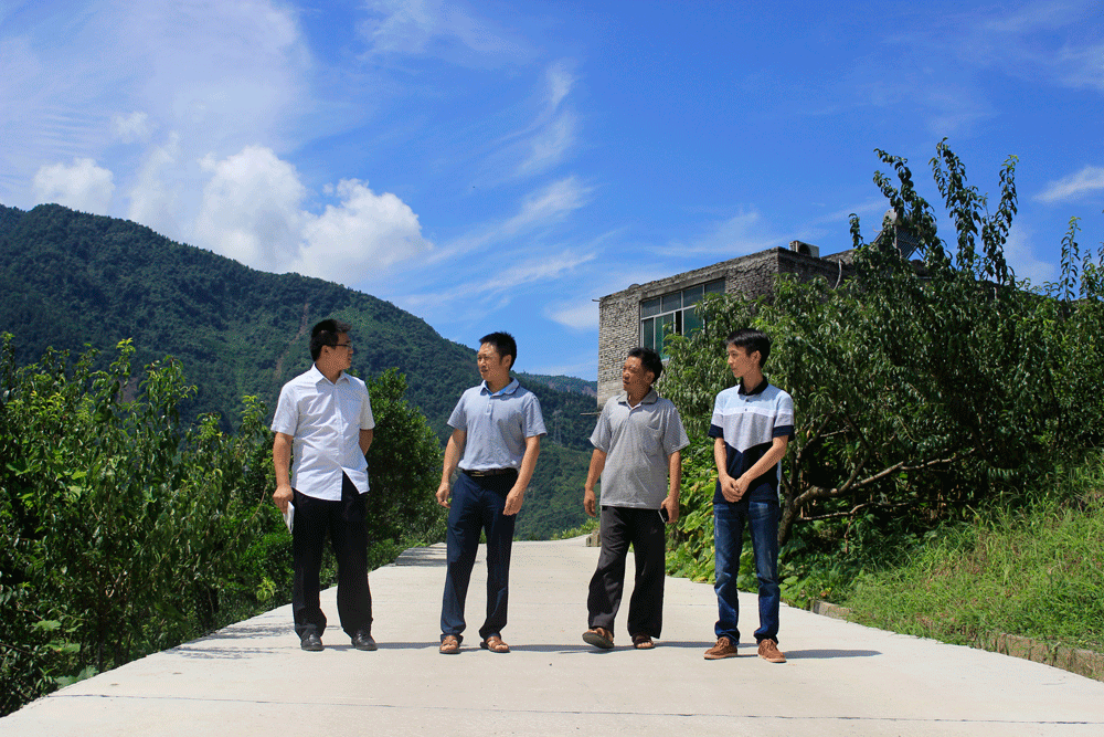 對口幫扶暖民心 便民橋連千家情