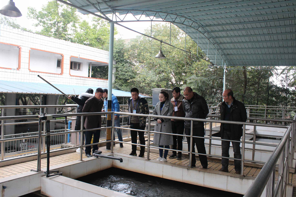 一年之計(jì)在于春 擼起袖子加油干