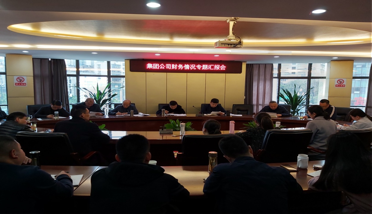 集團(tuán)公司召開財(cái)務(wù)情況專題匯報會