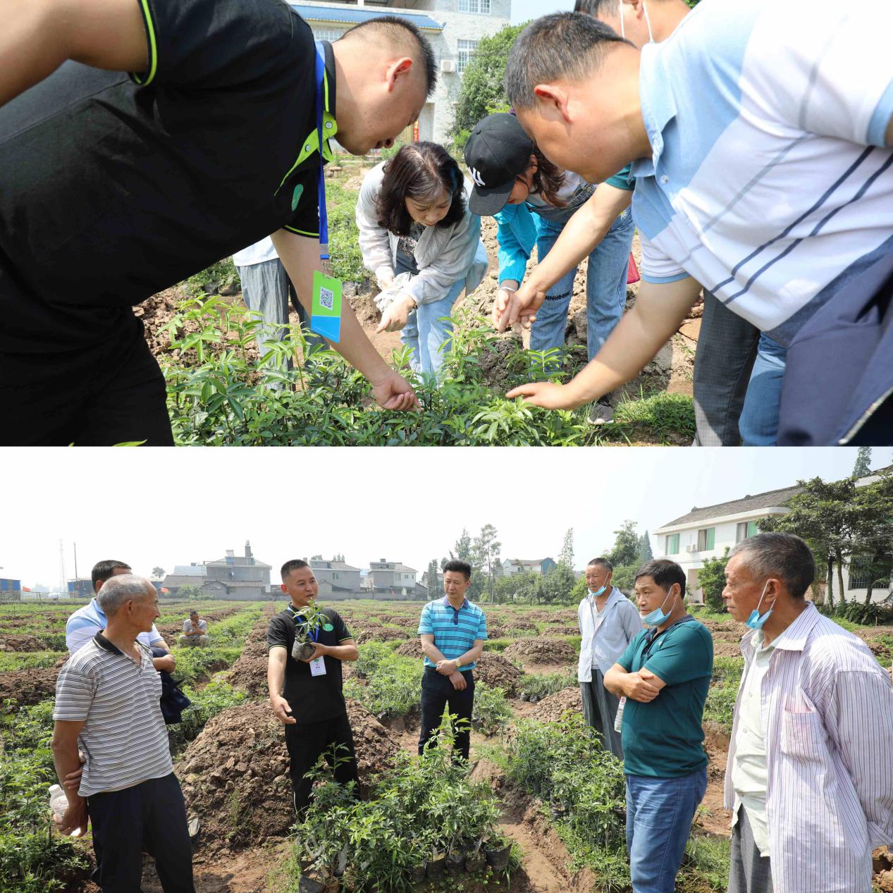 精準扶貧拔“窮根” 授人以漁種“富根”