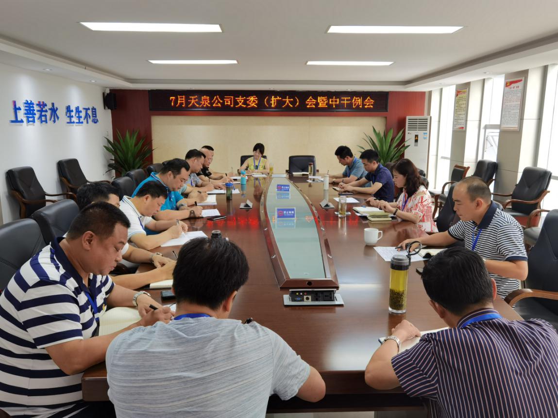 天泉公司召開(kāi)支委(擴(kuò)大)會(huì)暨中干例會(huì)