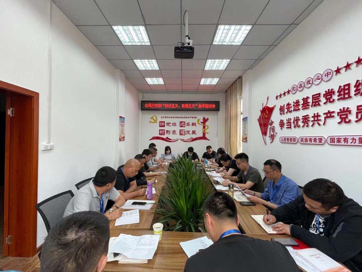 公司三支部召開黨員大會暨“形式主義、官僚主義”集中整治工作會