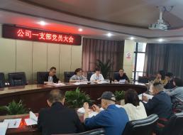 公司一支部開展 “學黨史、強信念、知黨恩、跟黨走” 黨史讀書交流會主題黨日活動