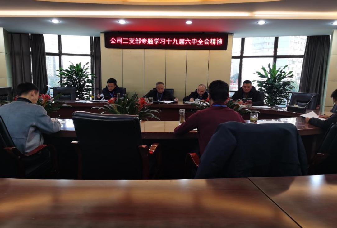 集團公司二支部召開十一月黨員大會暨 宣傳貫徹“新安全生產法”主題黨日活動