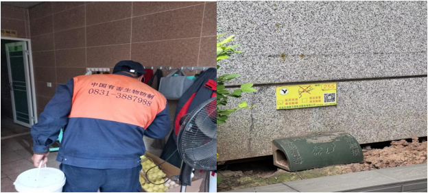 樹文明促健康,綠色環(huán)保護(hù)家園